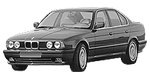 BMW E34 P0AA2 Fault Code